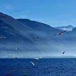 Vichi's Nest Lejlighed Pianello Del Lario