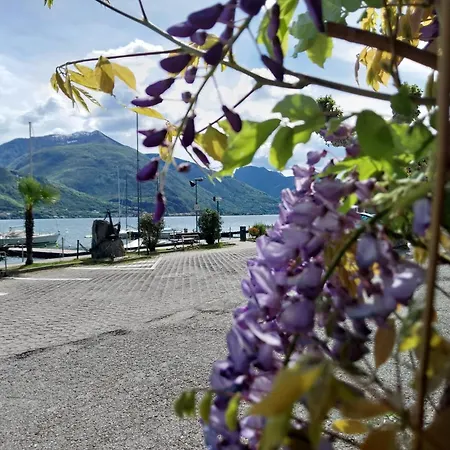 Vichi's Nest * Pianello Del Lario