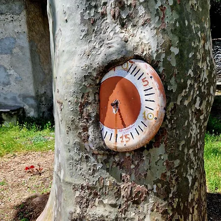 Appartamento Vichi's Nest