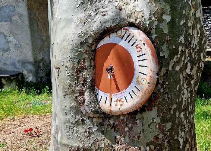 Appartement Vichi's Nest