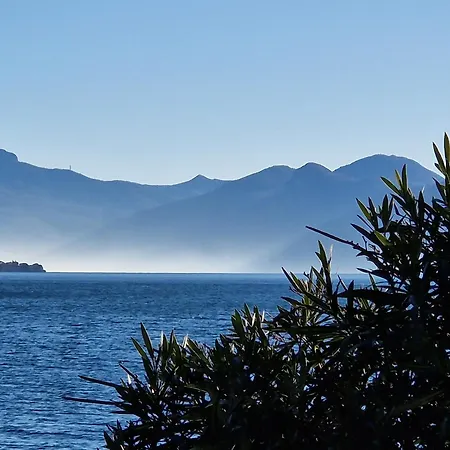 Vichi's Nest * Pianello Del Lario