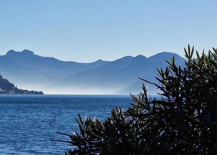 Vichi's Nest * Pianello Del Lario